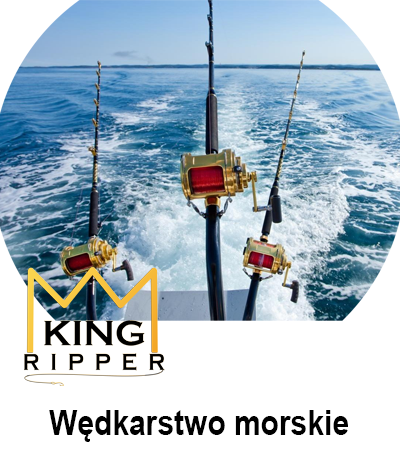 Wędkarstwo morskie KING RIPPER