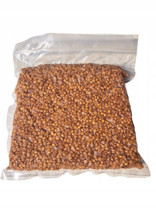 Pszenica wędkarska Naturalna na Ryby Karpie Amury 1Kg
