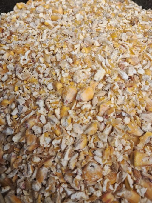 KING CORN 1Kg Kukurydza Wędkarska Miazga Łamana Kruszona Zanęta na Ryby - obrazek 2