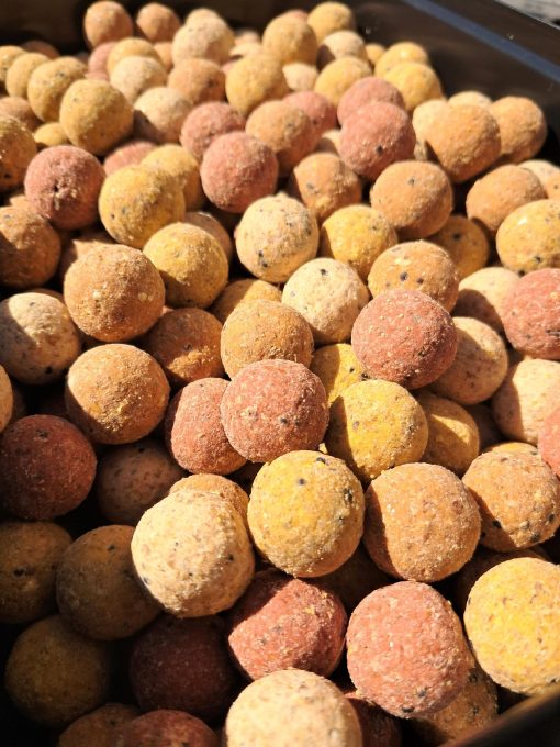 Kuki Proteinowe wędkarskie na Ryby Karpie 2,5Kg Fish Mix 18mm Wiadro - obrazek 2